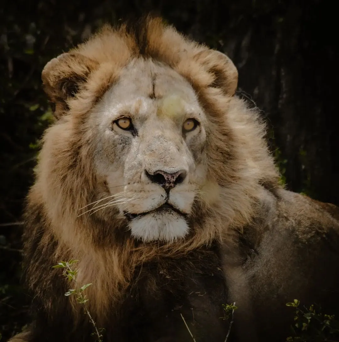 Lake Manyara National Park