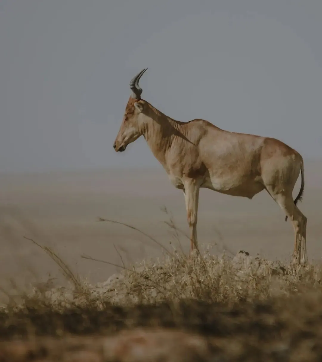 Serengeti National Park