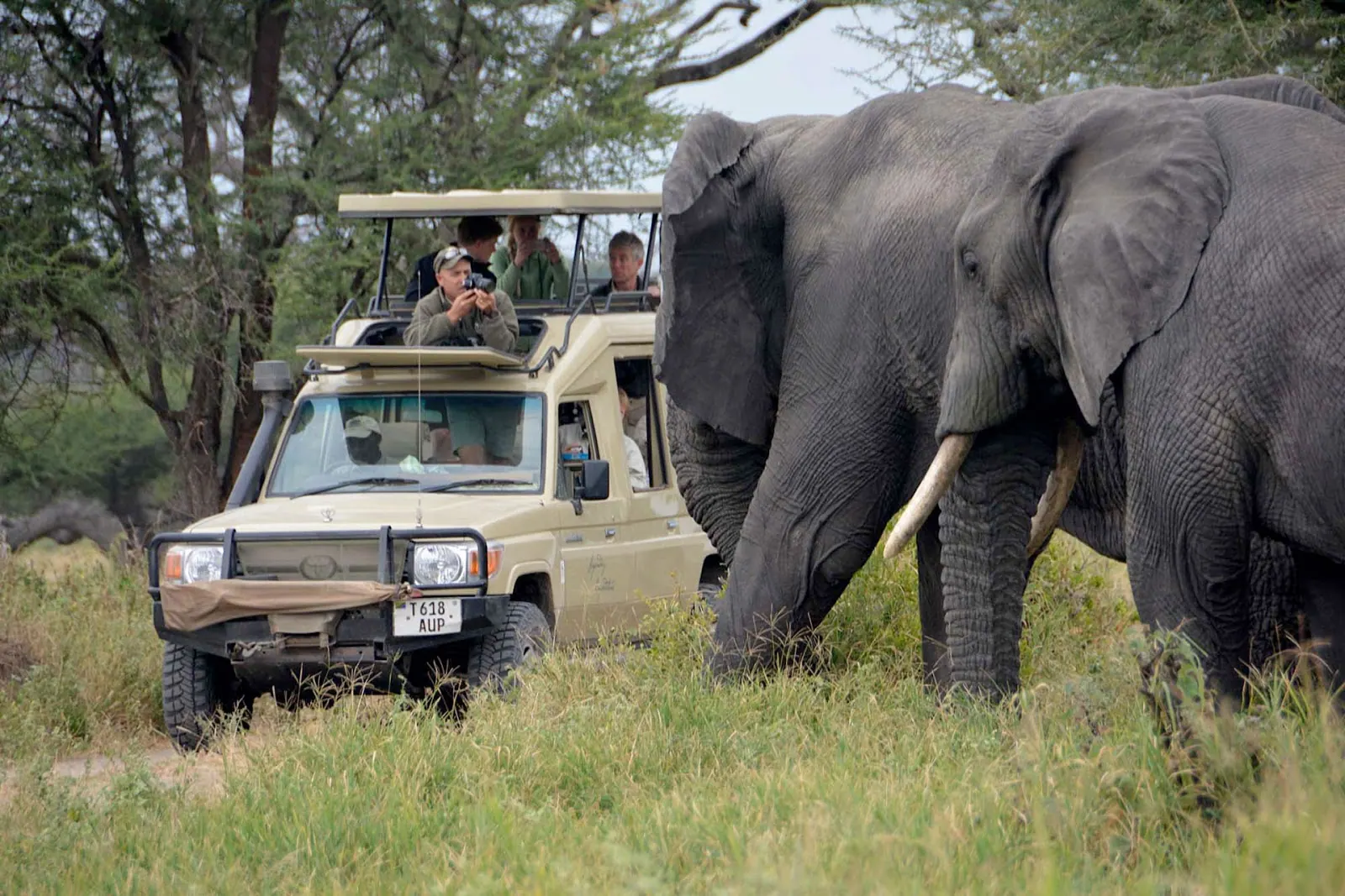 7 Days Luxury Tanzania Safari