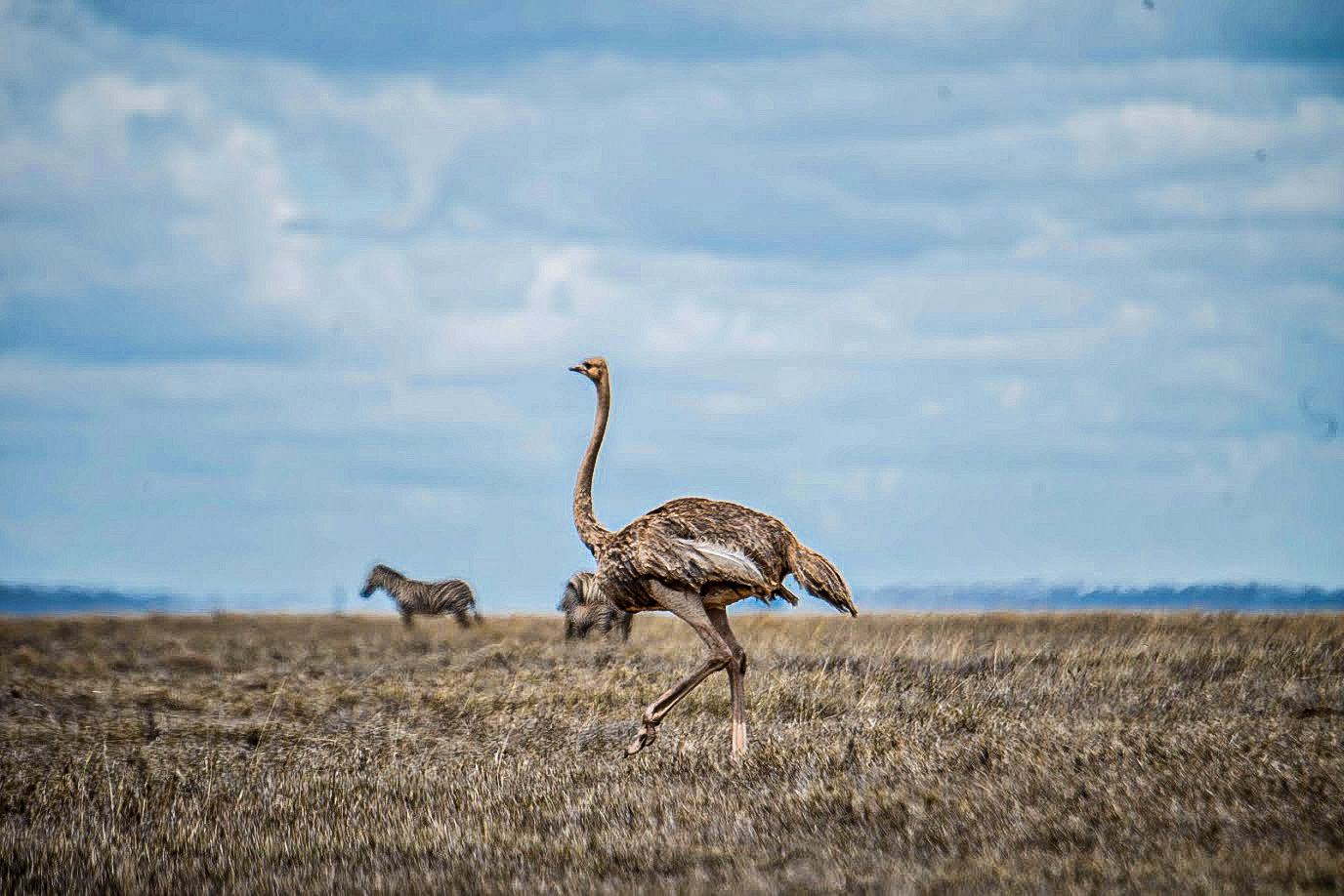 Lake Natron
