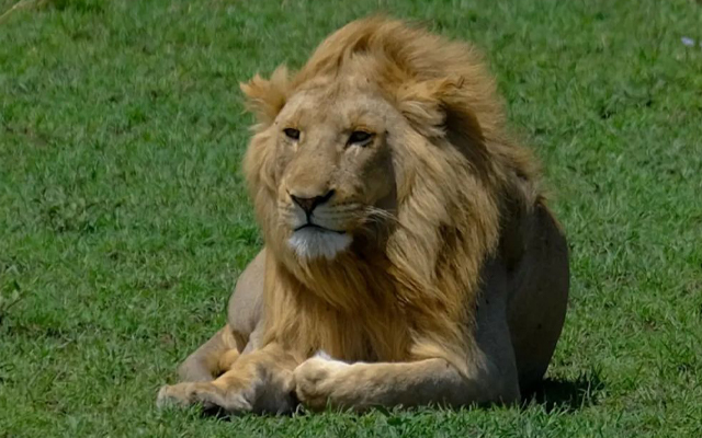 4 Days Mid-Range Tanzania Safari route area