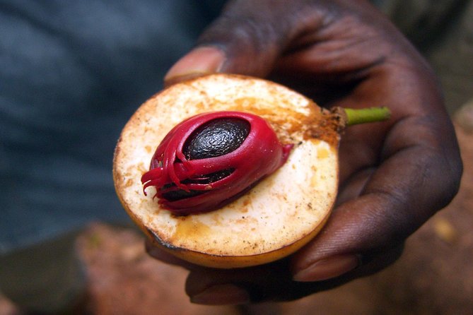 Zanzibar Activities
